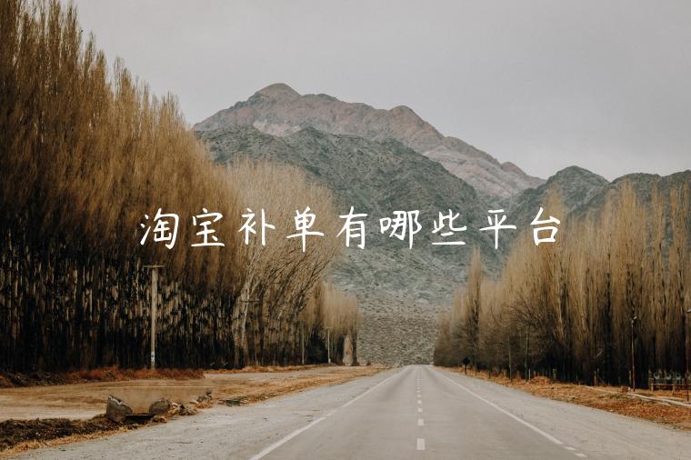 淘寶補(bǔ)單有哪些平臺